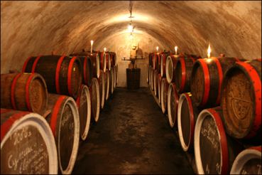 Wine Cellar of the Shosh Family